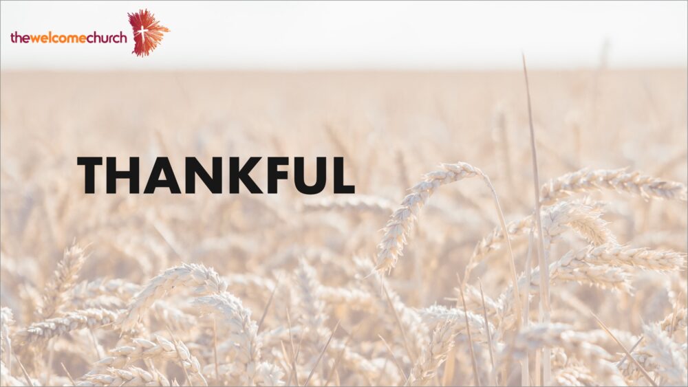 Thankful - Harvest Reflection Image
